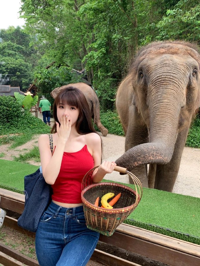 秘密森林 封面